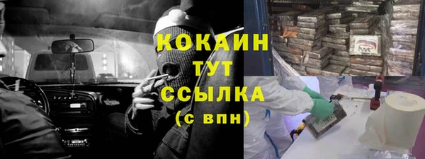 молекула духа Горняк
