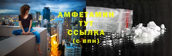 молекула духа Горняк