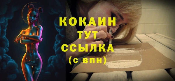 винт Горно-Алтайск