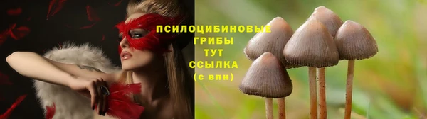 кокаин Горнозаводск
