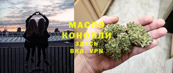 молекула духа Горняк