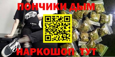 гашик Дубна