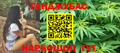 гашик Дубна