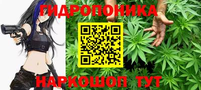 гашик Дубна