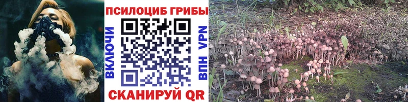 цены   ОМГ ОМГ вход  Галлюциногенные грибы Magic Shrooms  Нерюнгри 