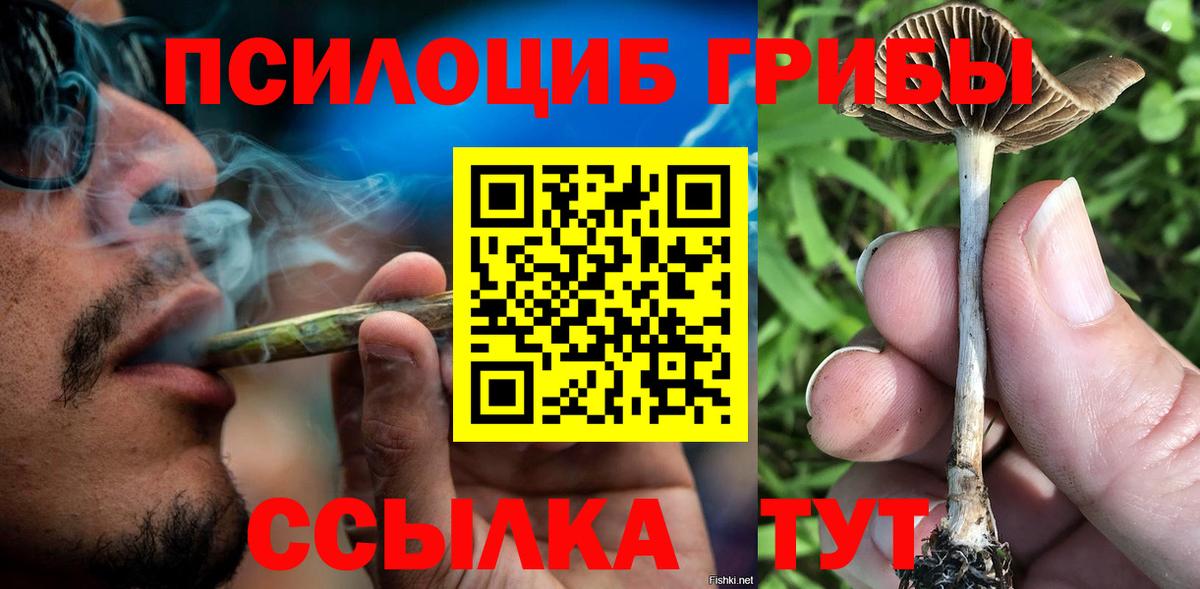 Галлюциногенные грибы прущие грибы  Вход с VPN  Нерюнгри 