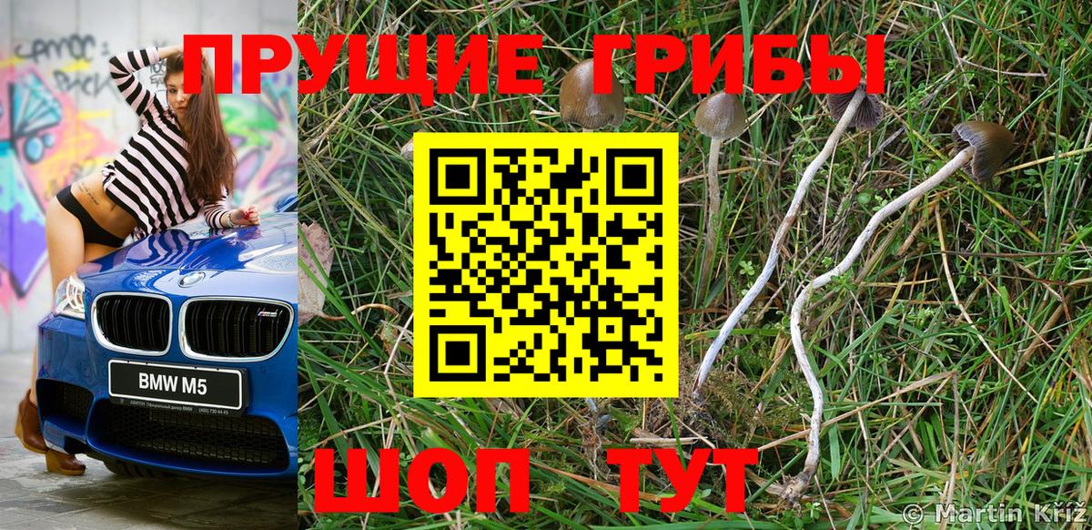 даркнет сайт  Псилоцибиновые грибы ЛСД  Нерюнгри  Галлюциногенные грибы мухоморы 