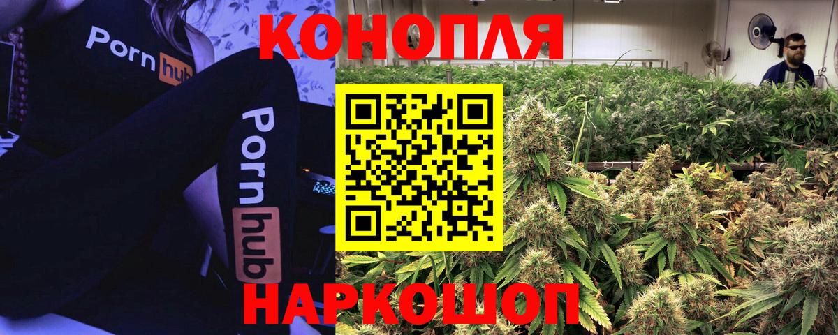 Бошки Шишки планчик Нерюнгри